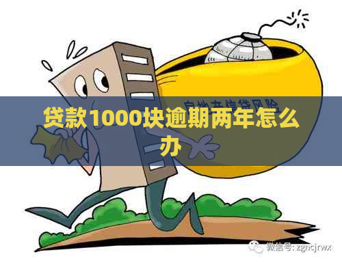 贷款1000块逾期两年怎么办