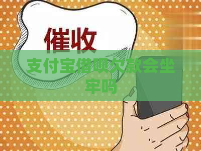 支付宝网贷欠款会坐牢吗