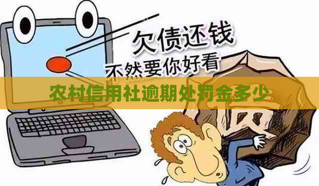 农村信用社逾期处罚金多少