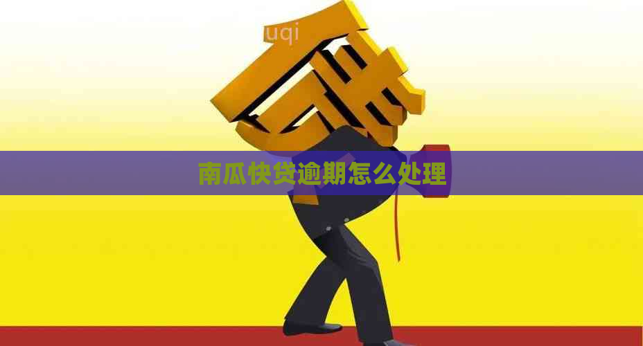 南瓜快贷逾期怎么处理