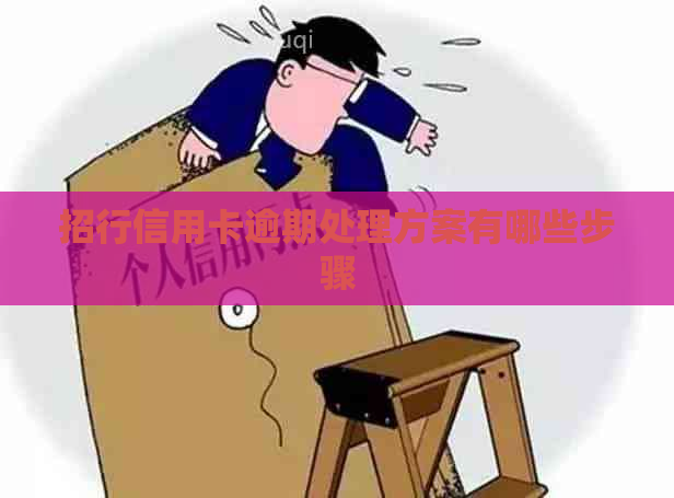 招行信用卡逾期处理方案有哪些步骤