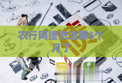 农行网捷贷逾期6个月了
