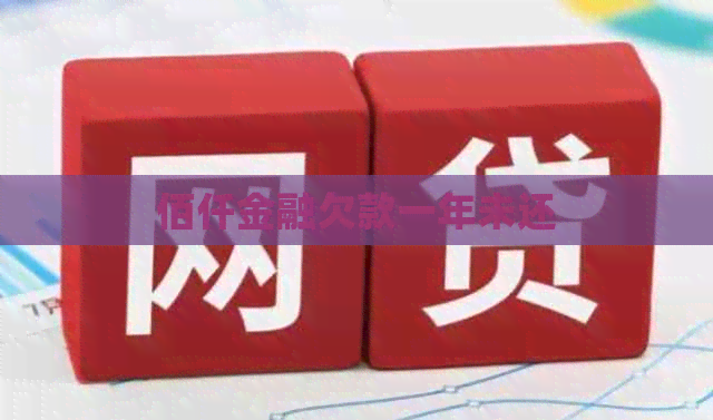 佰仟金融欠款一年未还