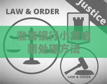 渤海银行小贷逾期处理方法