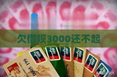 欠网贷3000还不起