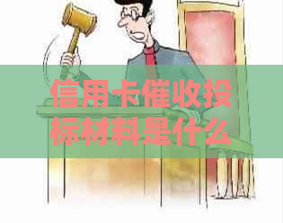 信用卡投标材料是什么意思？