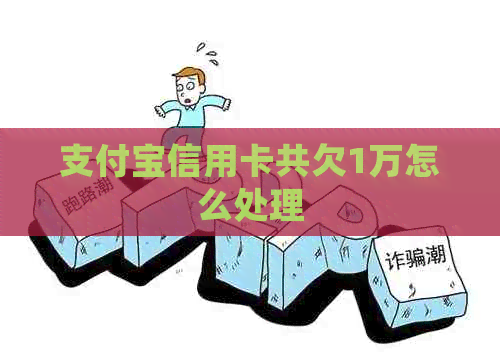 支付宝信用卡共欠1万怎么处理