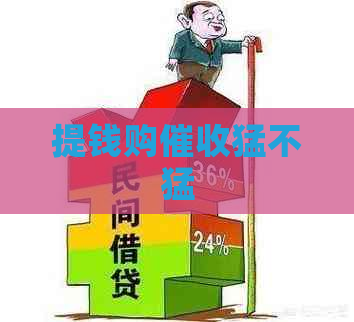 提钱购猛不猛