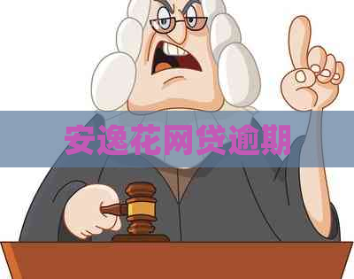 安逸花网贷逾期