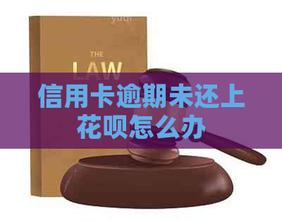 信用卡逾期未还上信用卡怎么办