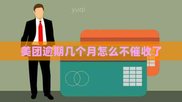 美团逾期几个月怎么不了