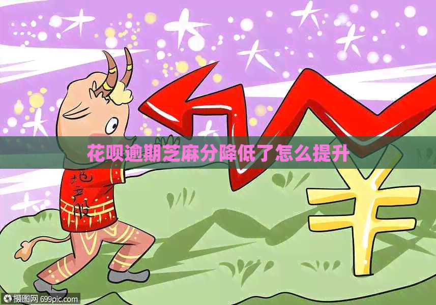 信用卡逾期芝麻分降低了怎么提升