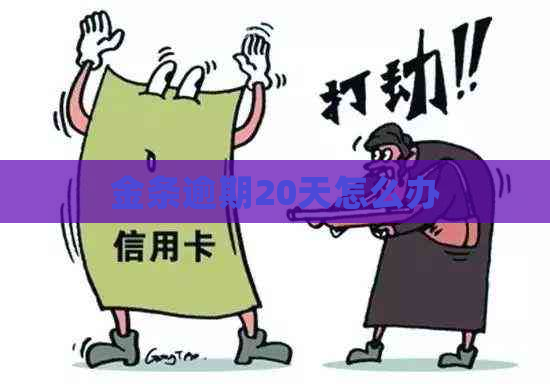 金条逾期20天怎么办