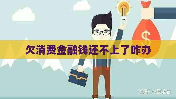 欠消费金融钱还不上了咋办