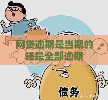 网贷逾期是当期的还是全部逾期