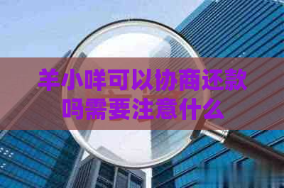 羊小咩可以协商还款吗需要注意什么