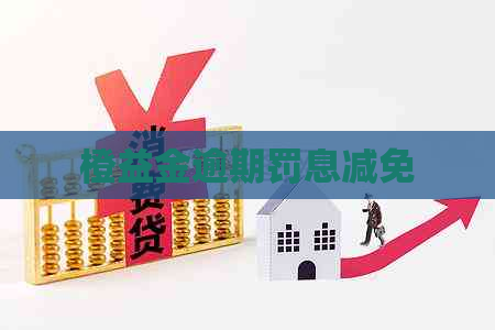 橙益金逾期罚息减免