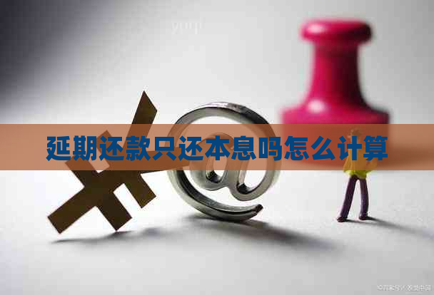 延期还款只还本息吗怎么计算