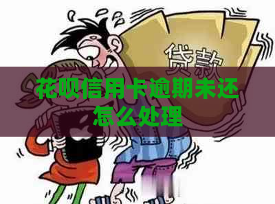 信用卡信用卡逾期未还怎么处理