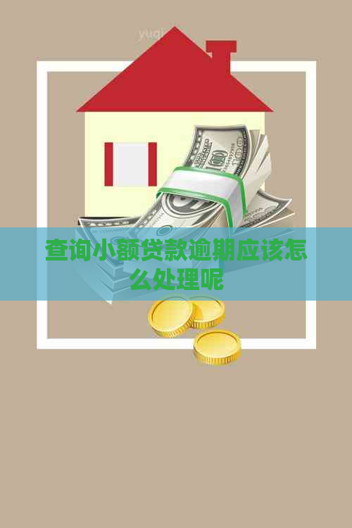 查询小额贷款逾期应该怎么处理呢