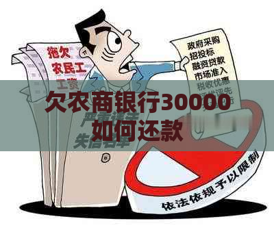 欠农商银行30000如何还款