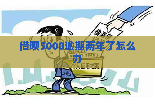 网贷5000逾期两年了怎么办