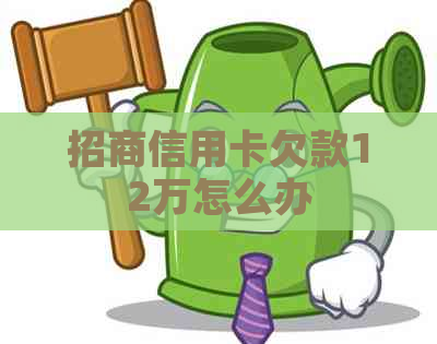 招商信用卡欠款12万怎么办