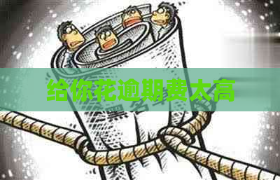 给你花逾期费太高