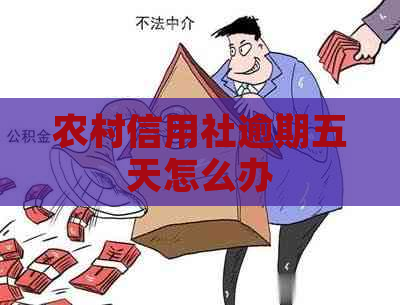 农村信用社逾期五天怎么办