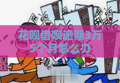 信用卡网贷逾期3万5个月怎么办