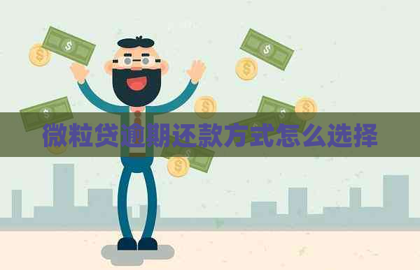 微粒贷逾期还款方式怎么选择