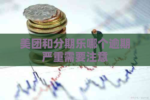 美团和哪个逾期严重需要注意