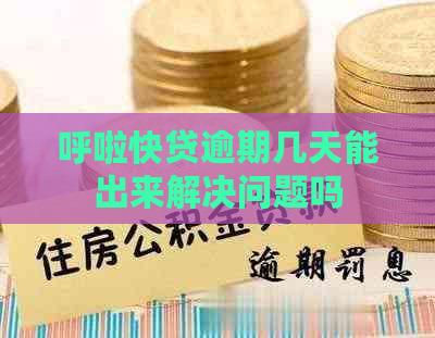 呼啦快贷逾期几天能出来解决问题吗