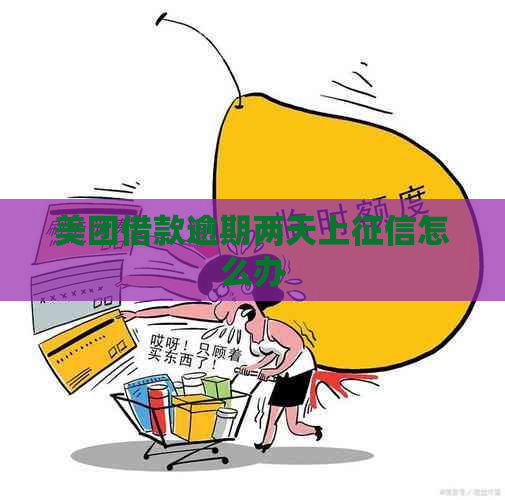 美团借款逾期两天上怎么办