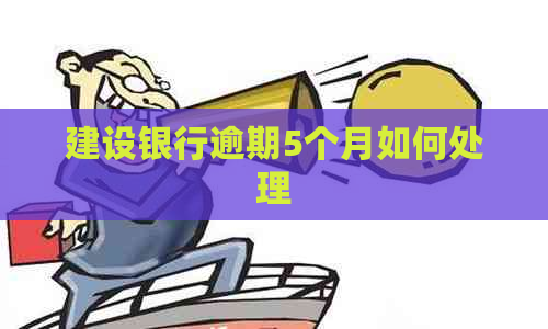 建设银行逾期5个月如何处理