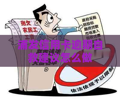 浦发信用卡逾期自救建议怎么做