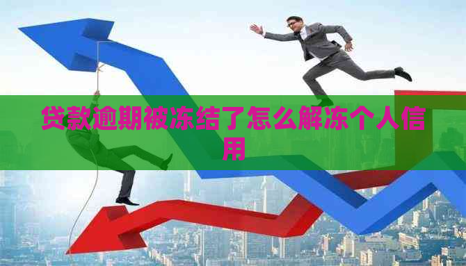 贷款逾期被冻结了怎么解冻个人信用