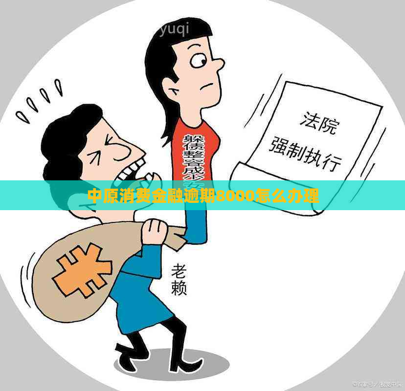 中原消费金融逾期8000怎么办理