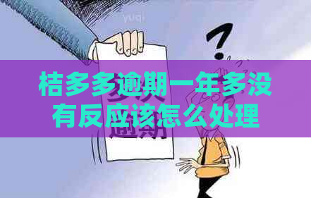 桔多多逾期一年多没有反应该怎么处理