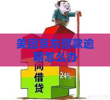 美团京东借款逾期怎么办