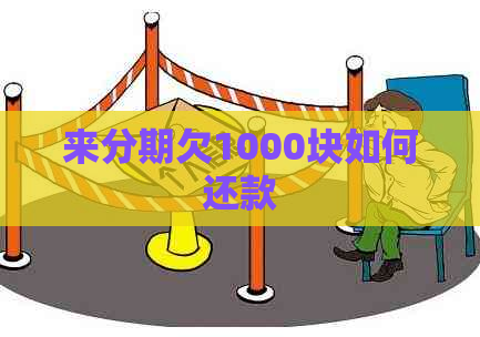 来分期欠1000块如何还款