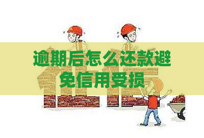 逾期后怎么还款避免信用受损