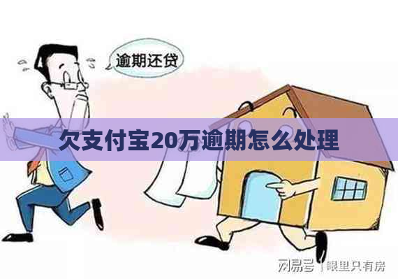 欠支付宝20万逾期怎么处理