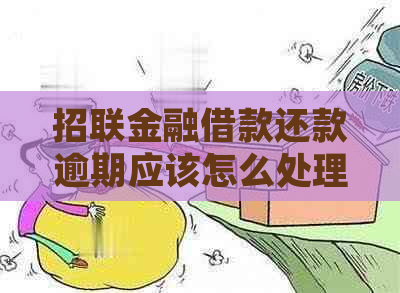 招联金融借款还款逾期应该怎么处理