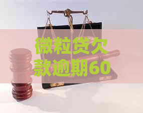 微粒贷欠款逾期60天怎么办