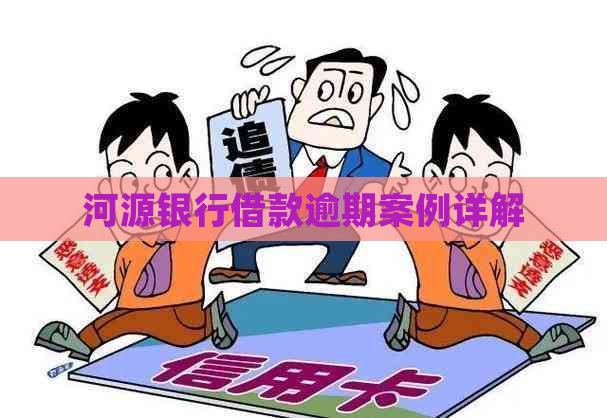 河源银行借款逾期案例详解