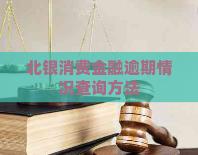 北银消费金融逾期情况查询方法