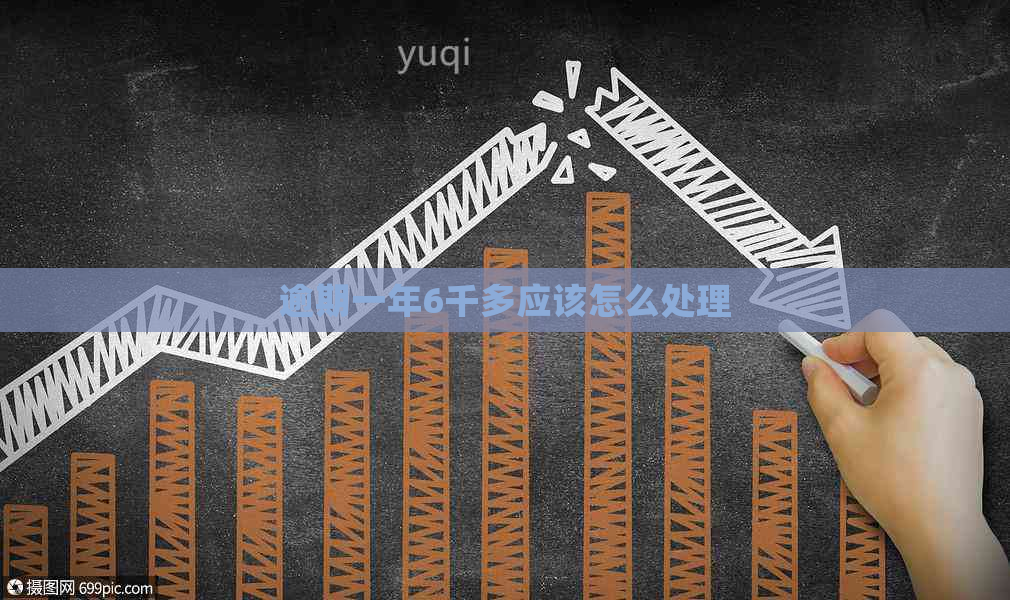 逾期一年6千多应该怎么处理