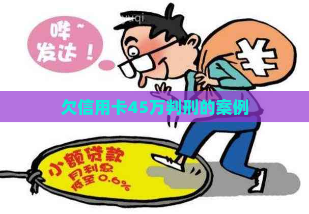 欠信用卡45万判刑的案例