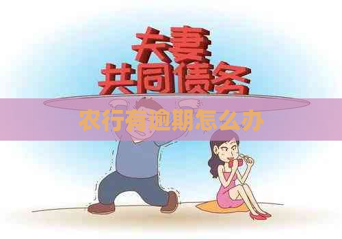 农行有逾期怎么办